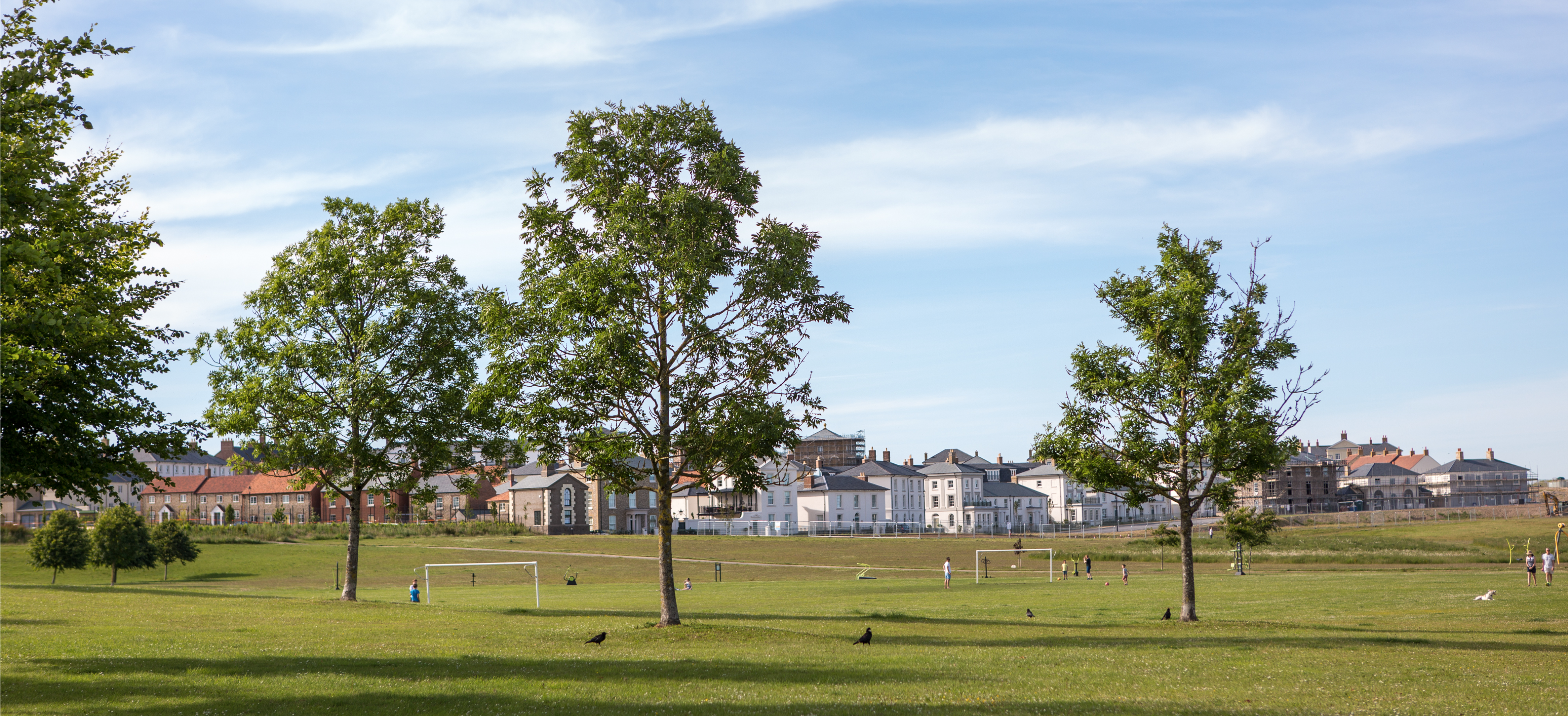 Football field at Poundbury showing trees and town in the distance